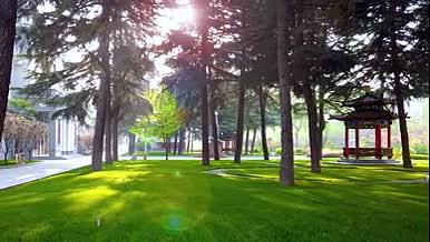 实拍唯美清晨阳光校园草地美景延时视频的预览图